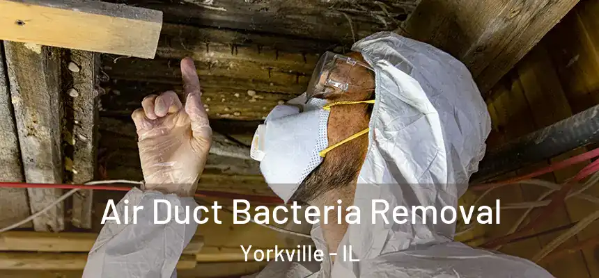  Air Duct Bacteria Removal Yorkville - IL