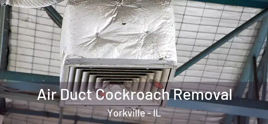  Air Duct Cockroach Removal Yorkville - IL