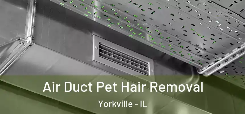  Air Duct Pet Hair Removal Yorkville - IL