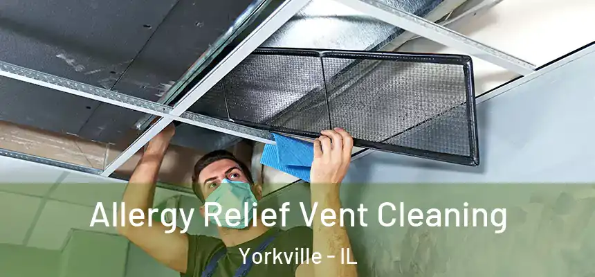  Allergy Relief Vent Cleaning Yorkville - IL