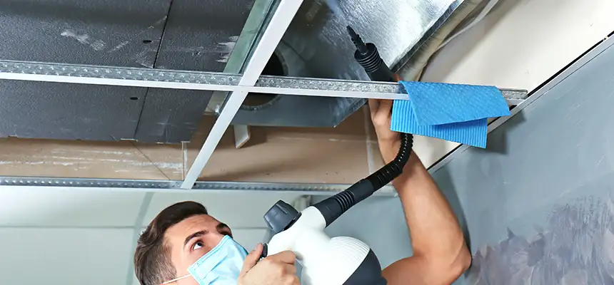 Our Air Duct Rodent Removal Services in Yorkville, IL