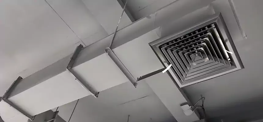 Our Pest Removal From Ducts Services in Yorkville, IL