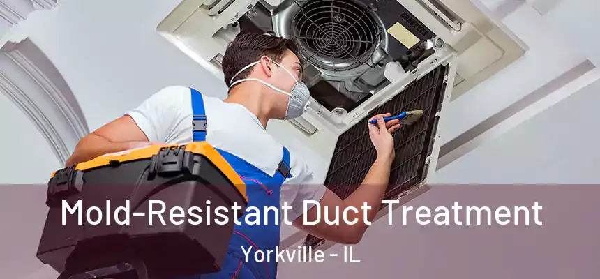  Mold-Resistant Duct Treatment Yorkville - IL