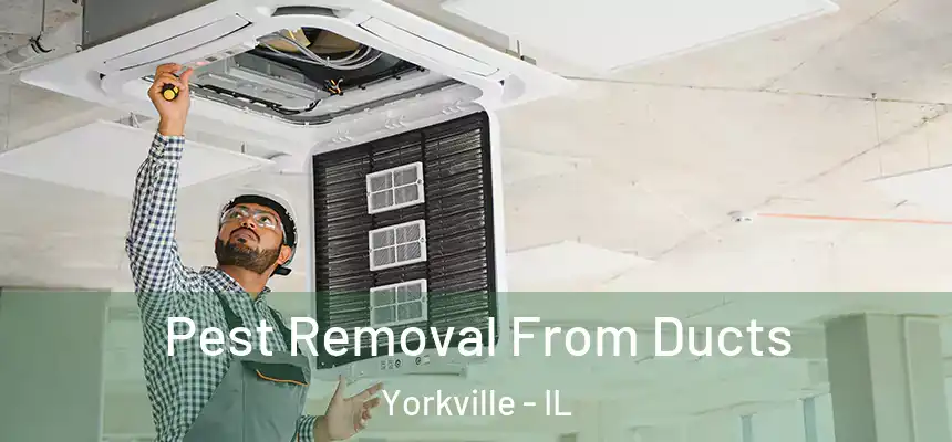  Pest Removal From Ducts Yorkville - IL