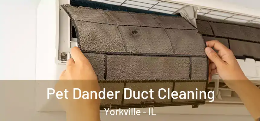  Pet Dander Duct Cleaning Yorkville - IL