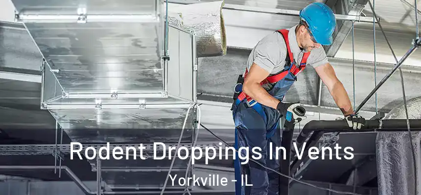  Rodent Droppings In Vents Yorkville - IL