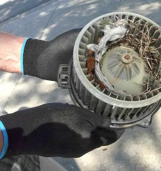 About Air Duct Rat Removal in Yorkville, IL