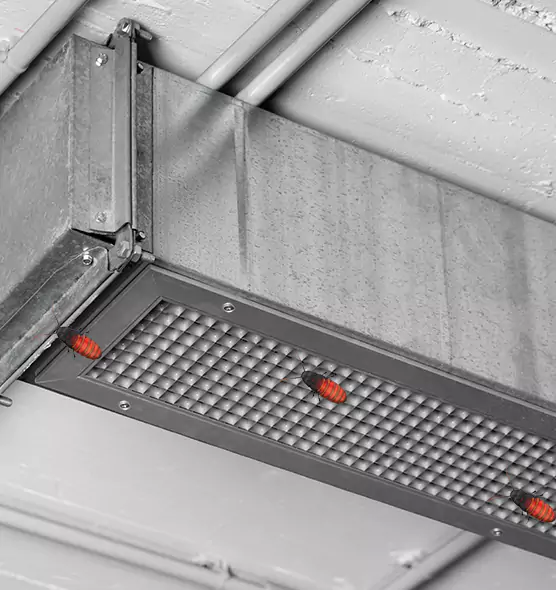 Affordable Insect Removal from Air Ducts in Yorkville, IL