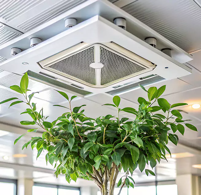 Why Homeowners & Businesses Trust Us in Yorkville, IL